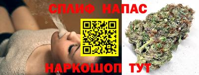молекула духа Обь