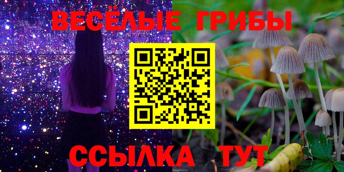 Псилоцибиновые грибы прущие грибы Сыктывкар