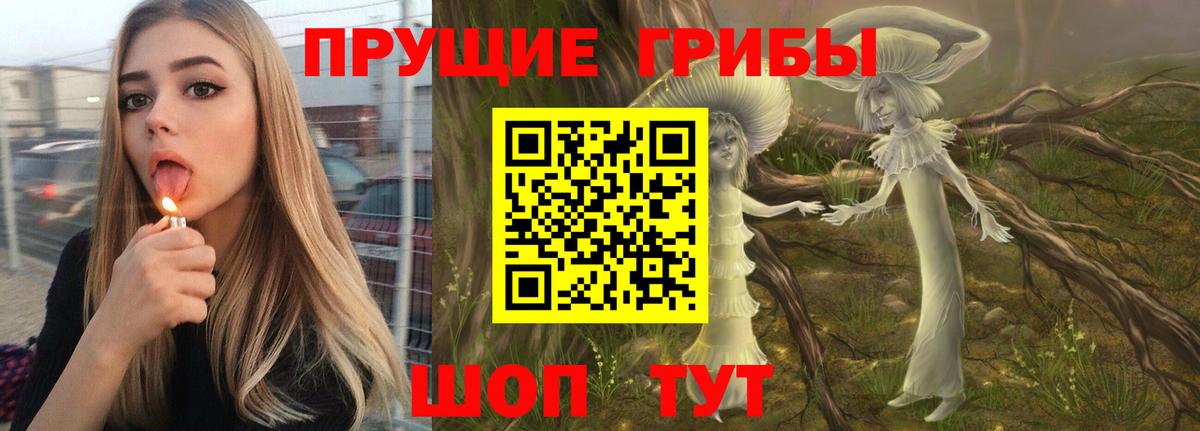 Сыктывкар  Галлюциногенные грибы Magic Shrooms  Вход с VPN 
